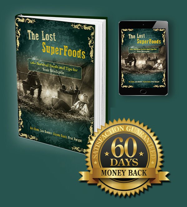 The-Lost-Superfoods-Book