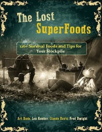 What Is The Lost SuperFoods
